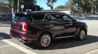 Illustration for article titled It's Hard to Say, "Hyundai Purple Palisade"